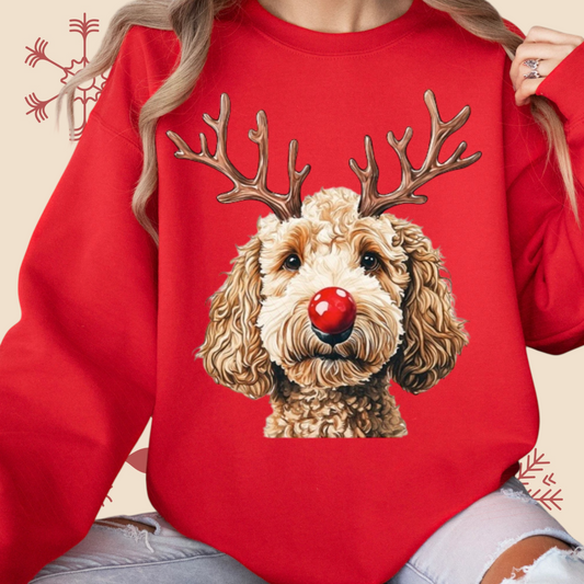 **CUSTOM**  Doggy Rudolf Fleece